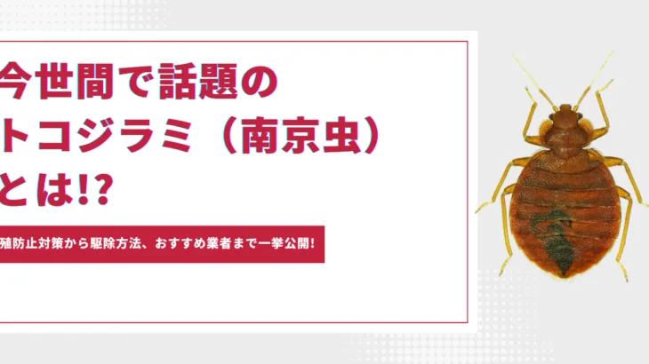 今世間で話題のトコジラミ（南京虫）とは!? 繁殖防止対策から駆除方法、おすすめ業者まで一挙公開!