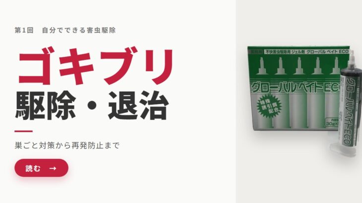 自分でできるゴキブリ駆除・退治｜プロが教える「巣ごと」対策と再発防止