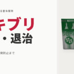 自分でできるゴキブリ駆除・退治｜プロが教える「巣ごと」対策と再発防止