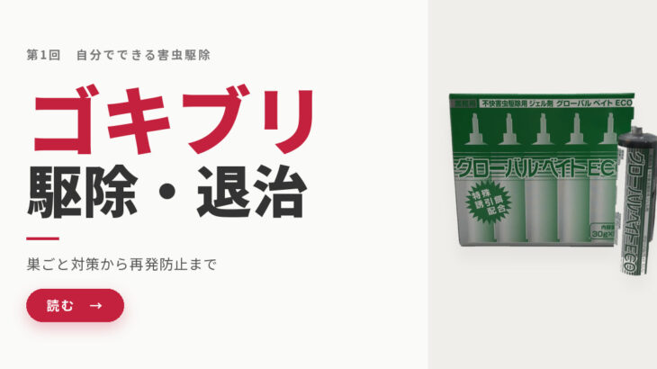 自分でできるゴキブリ駆除・退治｜プロが教える「巣ごと」対策と再発防止