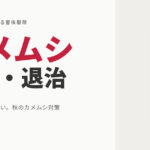 自分でできるカメムシ駆除・退治｜つぶさない対処と「家に入れない」秋の侵入防止