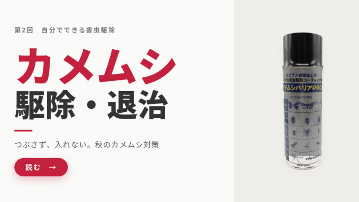 自分でできるカメムシ駆除・退治｜つぶさない対処と「家に入れない」秋の侵入防止
