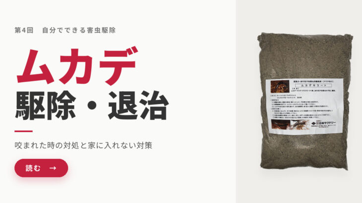 自分でできるムカデ駆除・退治｜咬まれた時の対処から、粉剤の帯状散布で家に入れない方法まで